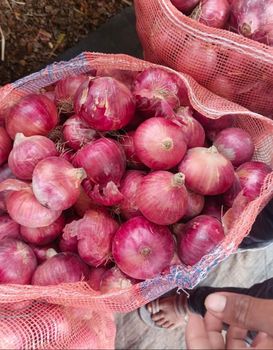 Fresh Onion – product photo, Fresh Shallot Onion products found from trusted suppliers, wholesalers, manufacturers & exporters Listing