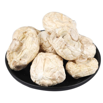Good price freeze dry mushroom wild Agaricus bisporus white dried button mushrooms - Bozhou Swanf Commercial And Trade Co., Ltd. - China