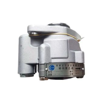 High Quality Trucks Isbe Isde Diesel Engine Parts 4891342 Power Steering Pumps - Hubei Diyue Auto Parts Co., Ltd. - China