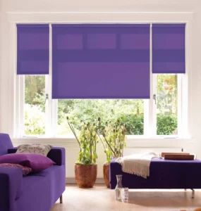 Window Blinds Daylight Roller Blinds, Roman Blind - Shouguang Sunrise Industry Co., Ltd. - China