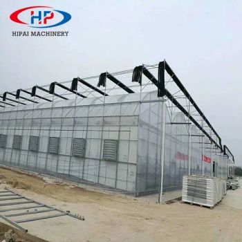 Agricultural Poly Film Greenhouse/ Greenhouse Equipment/ Horticulture - Weifang Hipai Machinery Co., Ltd. - China