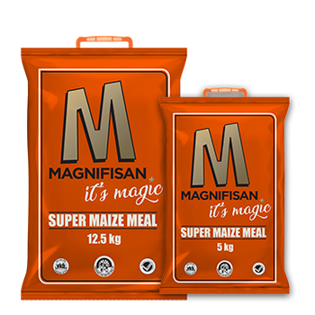 Super Fine Maize Meal - Macaphuna Kusale SBM (Pty) Ltd - South Africa