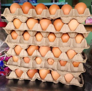 High Grade Isa Brown Hatching Eggs For Incubation Poultry Breeding And Layer Flock Growth from CPW TRADE LTD High Grade Isa Brown Hatching Eggs For Incubation Poultry Breeding And Layer Flock Growth - CPW TRADE LTD - United Kingdom