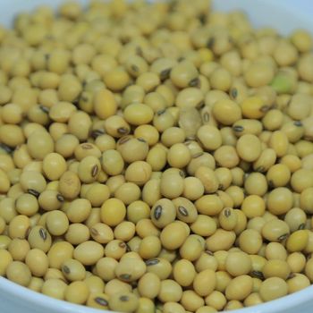 2024 Harvest Ethiopian Soya Beans - 14% Max Moisture, Grade 1 Quality, Bulk Quantity Available – product photo, Whole Soya Beans products found from trusted suppliers, wholesalers, manufacturers & exporters Listing