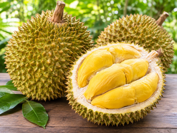 Philippine Durian Products – Fresh Whole Fruit, Frozen Pulp & Various Varieties – product photo, Recommend Fallback