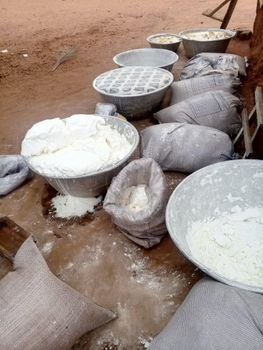 Cassava starch - Dokpah Godwin farm - Ghana