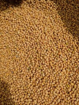 Process cashew, raw cashew, soyabeans, cocoa beans, sesame seed, cassava chips and more - Abayomiolorunoje Enioluwada - Nigeria