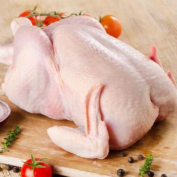 High Quality Frozen Whole Chicken Meat IQF Technology Vacuum Sealed 25kg Pack Perfect For Hotels Restaurants And Wholesale Meat Distribution - Carla Pisselli Commercio - Brazil