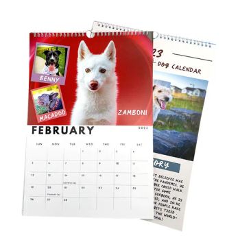 365 Days Desk Wall Calendar Customized OEM Art Paper Printing Calendar - Shenzhen Longyin Printing Packing Co., Ltd. - China