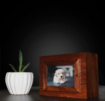 Wooden urn box with photo frame Material Wood Feature Photo Frame - Avon Handicrafts - India
