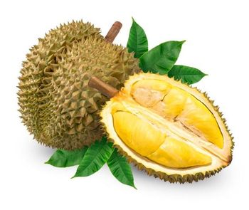 Authentic Fresh Durian Fruits Naturally Delicious Premium Selection Cheap Price For Fresh Tropical Fruit Lovers from CPW TRADE LTD Authentic Fresh Durian Fruits Naturally Delicious Premium Selection Cheap Price For Fresh Tropical Fruit Lovers - CPW TRADE LTD - United Kingdom