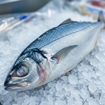 Fast Supply Saithe Fish Frozen Fillet IQF High Protein Low Fat Premium Quality Ocean Fresh Seafood Wholesale - PILOTEXPORT IMPORT AND EXPORT LTD - South Africa