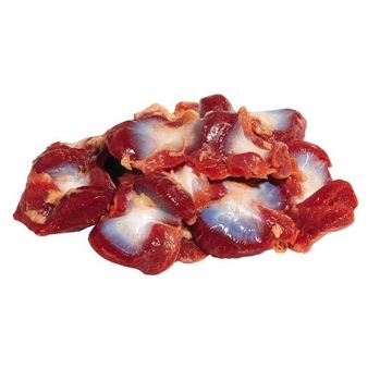 Chicken Gizzard-Chicken Liver in bulk/Processed frozen chicken Gizzard supplier/Frozen chicken breast - N.G westen holding B.V - Netherlands