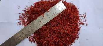 Dried Safflower Petals - ADEPT IMPEX PVT LTD - India