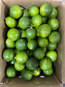 Seedless Lime - Great Farmer Company Limited - Vietnam