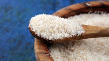 Psyllium Husk - Brontello Exports - India