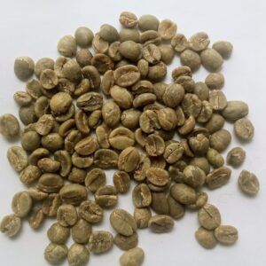 Robusta Coffee from Farmers Cooperative Limited Robusta Coffee - Farmers Cooperative Limited - Tanzania