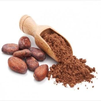 cocoa powder - PT. Indonesia tropical export - Indonesia