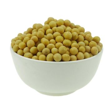 2023 Crop Chinese High Protein soya en grano Yellow Soybean Soya Beans / Soy Bean For Sale - Hebei Nihewan Agricultural Development Co., Ltd. - China