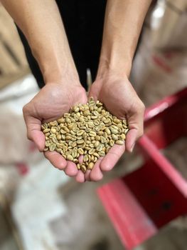 coffee beans - PT. BAY SEJAHTERA EXPORT - Indonesia