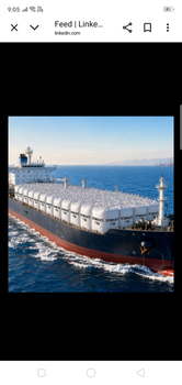 ICUMSA 45 refined sugar - KOLA EXPORTS - India