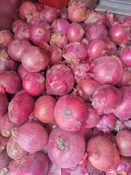 Fresh Pakistani Onion – product photo, Fresh Shallot Onion products found from trusted suppliers, wholesalers, manufacturers & exporters Listing
