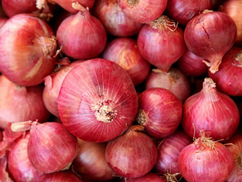 onion - anchorandaether - India