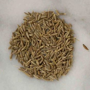 Natural Cumin Whole Seeds Premium Cumin For Large Scale Supply And Wholesale Buyers High Purity 100% - THE GREEN INTERNATIONAL LIMITED - Tanzania
