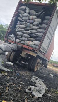 Hardwood charcoal - Libra Charcoal Exports - Nigeria