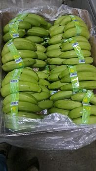 Banano Cavendish – product photo, product card