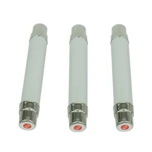 High Voltage 15A Fuse for Enhanced Electrical Safety Solutions - Zhejiang Yuren Electric Co.,Ltd - China