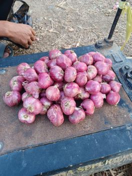 Fresh Shallot Origin Indonesia Diameter 28mm-38mm Grade Premium, Super Certification Halal Certification Form Fresh a Whole, Whole, Clean, No Leaf - PT. Pratama Spices Indonesia - Indonesia