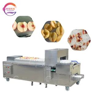 Factory Wholesale Peach Pitter Fruit Core Yellow Peach Pitting Machine Fruit Nectarine Stone Removing Cutting Machine for Fruit Production Plant - Zhaoqing Hexu Machinery Co., Ltd. - China