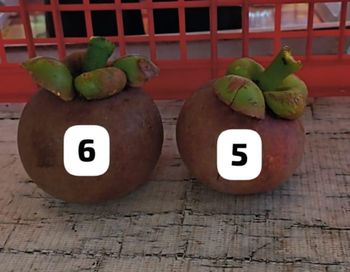 Fresh Fruits - PT. Cahaya Lestari Agronusa - Indonesia