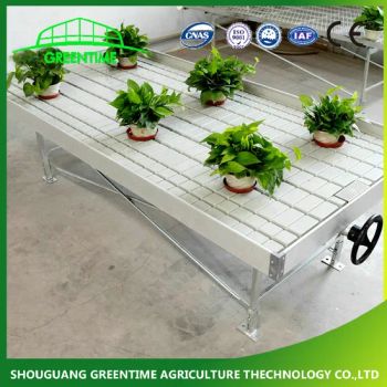 Greenhouse Hydroponics System 4X8 Rolling Bench Ebb and Flow Planting Table for Sale - Shouguang Greentime Agriculture Technology Co., Ltd. - China