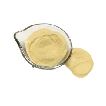Wholesale Dehydrated Potato Powder Instant Potato Powder - Shanghai Sinospices Sourcing Ltd. - China