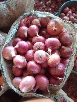 Nashik Fresh Onion from Vardhan Global Pvt Ltd Nashik Fresh Onion - Vardhan Global Pvt Ltd - India
