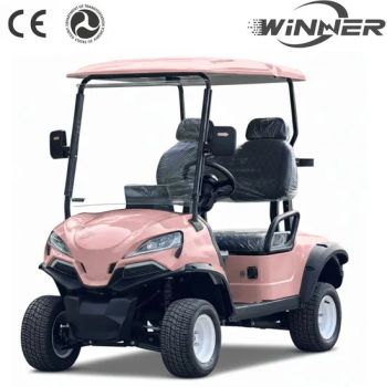 Stylish Pink Golf Cart for Kids - Perfect Birthday Gift Adorable Themed Pink Golf Cart for Young Golfers - Guangzhou Winner Electric Vehicle Co., Ltd - China