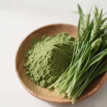 Wheat grass powder - SOURCE GLOBAL TRADING GROUP - South Africa