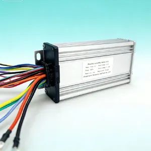 a Variety of Electric Bicycle Controllers and Electric Scooter Brushless Motor Controllers Are Available. - Xingtai Pinda Vehicle Industry Co., Ltd. - China