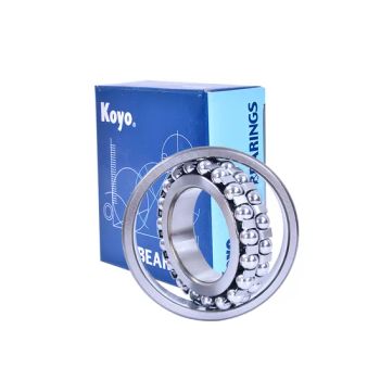 Self Aligning Ball Bearings NSK NTN IKO Koyo NACHI Bdl 1309 1309tni for Sugar and Other Industries and General Machinery. - Shandong Shunwei Bearing Co., Ltd. - China
