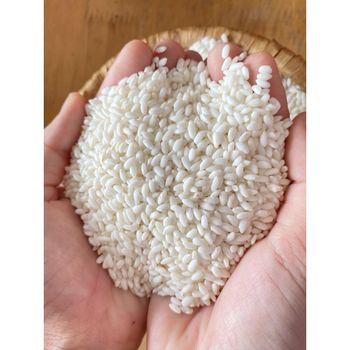 Vietnamese Sticky Rice, Glutinous Rice, Origin Vietnam Features Organic Packaging Size > 25 kg Place of Origin Vietnam Variety Short-Grain - TP IMEX CO.,LTD - Vietnam