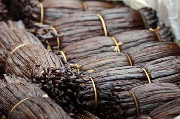 High-Quality Vanilla Beans for Baking & Commercial Use Shape Long Grade premium Max. Moisture (%) 35% Storage Type cool place - THE GREEN INTERNATIONAL LIMITED - Tanzania