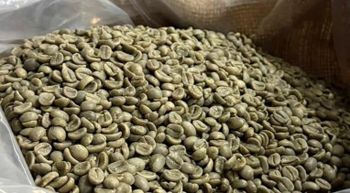 Coffee Beans from Green energy products Coffee Beans - Green energy products - Malaysia