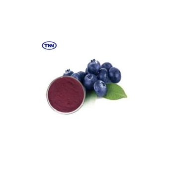 25% Anthocyanidins 36% Anthocyanosides Bilberry Herbal Extract Bulk Sale Bilberry Extract - THE TNN DEVELOPMENT LIMITED - China