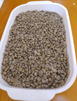 arabica and robuster coffee beans Color Green Features Organic Purity 99.5% Min Product Type Grain Moisture Content 12-13% - agriglobalexportlimited - Kenya