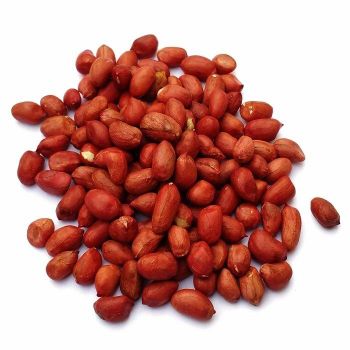 Fast Delivery Available Whole Sale Organic Peanut Groundnut Raw Fresh Red Skin on Discount In Stock - TRADECENTRIC LLC - United States