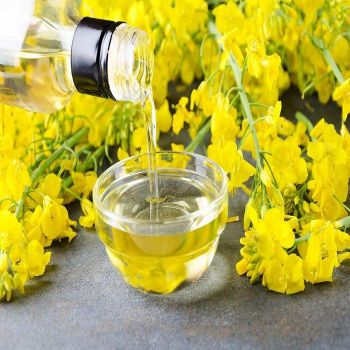 High Quality 100% Purity Refined Canola Oil Excellent Grade Cooking Use 2 Year Shelf Life Normal Temperature Storage - CPW TRADE LTD - United Kingdom