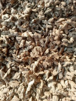Ginger/coriander/kidney beans - Khalid - Ethiopia