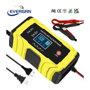 New Arrival 12V 24V Car Battery Charger Lead-Acid Battery Charger for Motorcycle - Shanghai Evergrn Technology Group Co., Ltd. - China